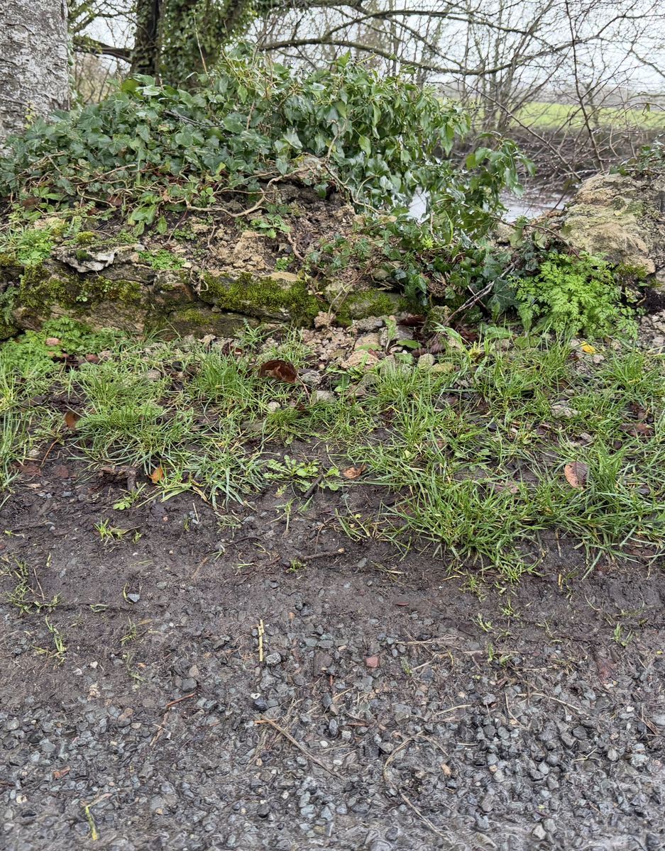 The height of the low bridge wall where the car left the road, grass grown almost to its top
