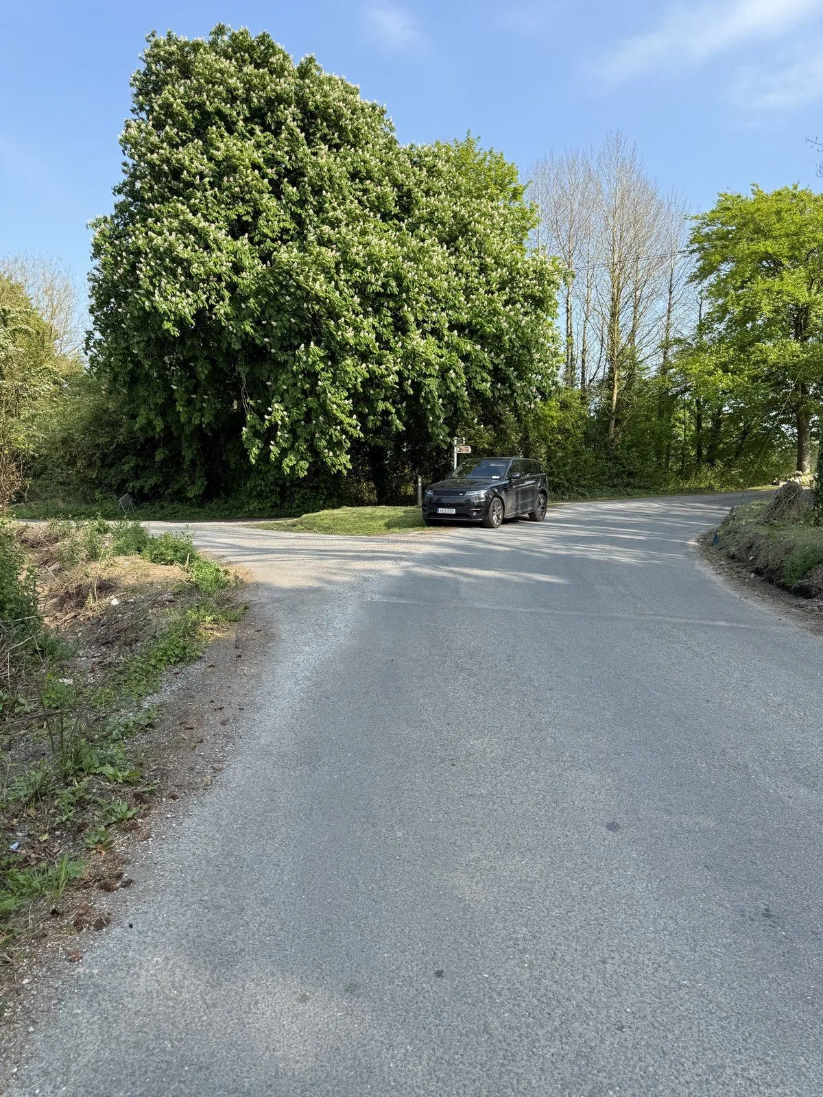 The road facing the bridge, with the sharp turn ahead and no warning sign.